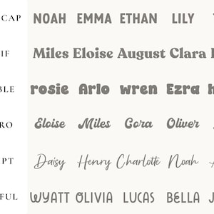 Puede incluir: Una gu&iacute;a tipogr&aacute;fica que muestra diferentes estilos de fuente con nombres. Las fuentes est&aacute;n etiquetadas como Bold Cap, Serif, Bubble, Retro, Script y Playful. Nombres como Noah, Emma, Miles y Daisy se muestran en cada fuente, demostrando la variedad visual.
