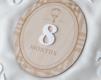 Boy Milestone Card Boy Monthly Photos Hot Air Balloon Balloon Vintage Milestone Milestone Storybook Gingham First Year Milestone Tracker Boy
