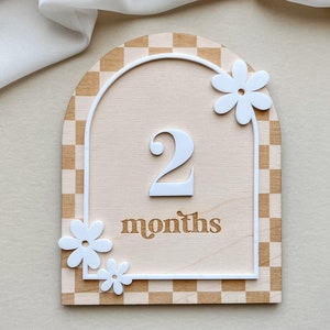 Milestone Marker Monthly Milestone Baby Girl Monthly Milestone Flower Boho Baby Milestone Monthly Baby Photo Daisy Decor Boho Milestone Card