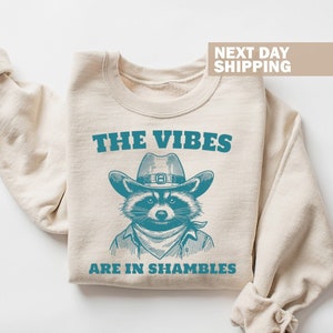 The Vibes Are In Shambles Sweatshirt, Sarcastic Meme Crewneck, Funny Retro Shirt, Mental Health Sweatshirt, Raccoon Sweatshirt, Gift For Her