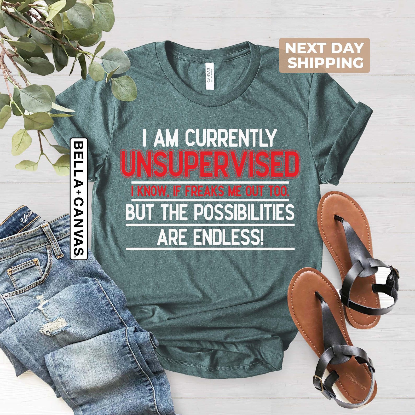 Funny Shirts for Men, Funny T Shirt, Funny Saying Mens Shirt, Sarcastic ...