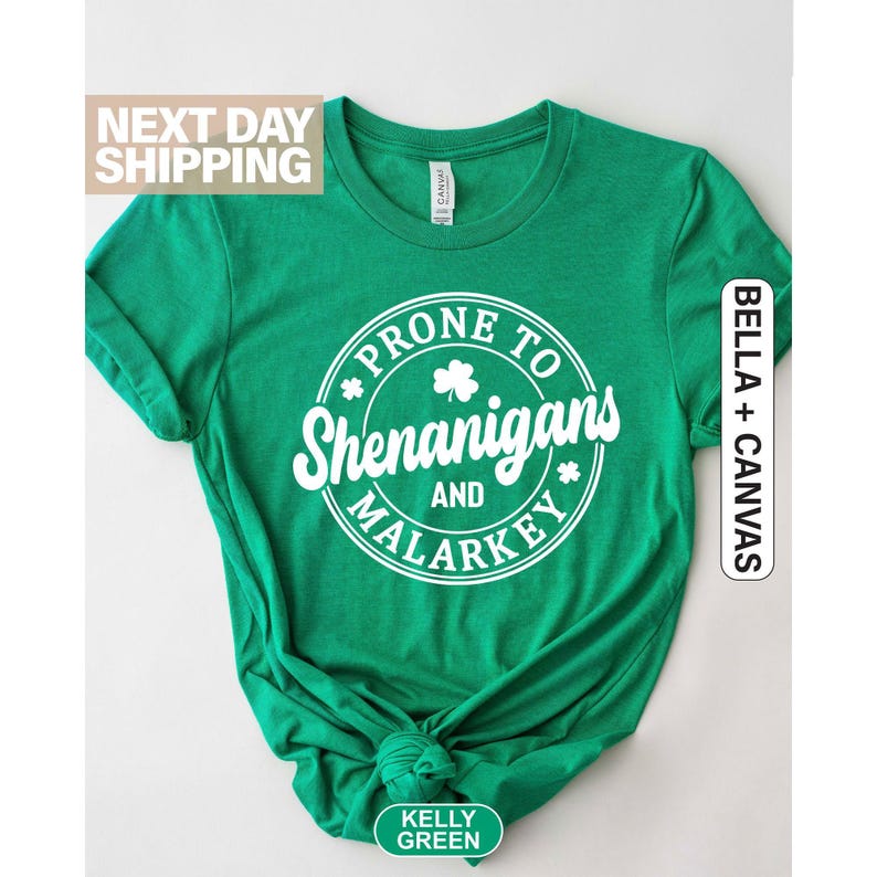Prone To Shenanigans And Malarkey Shirt, St Patrick's Day Shirt, Shamrock Tee, Funny Irish Shirt, St Pattys Day Shirt, St Patrick's Day Gift 画像 1