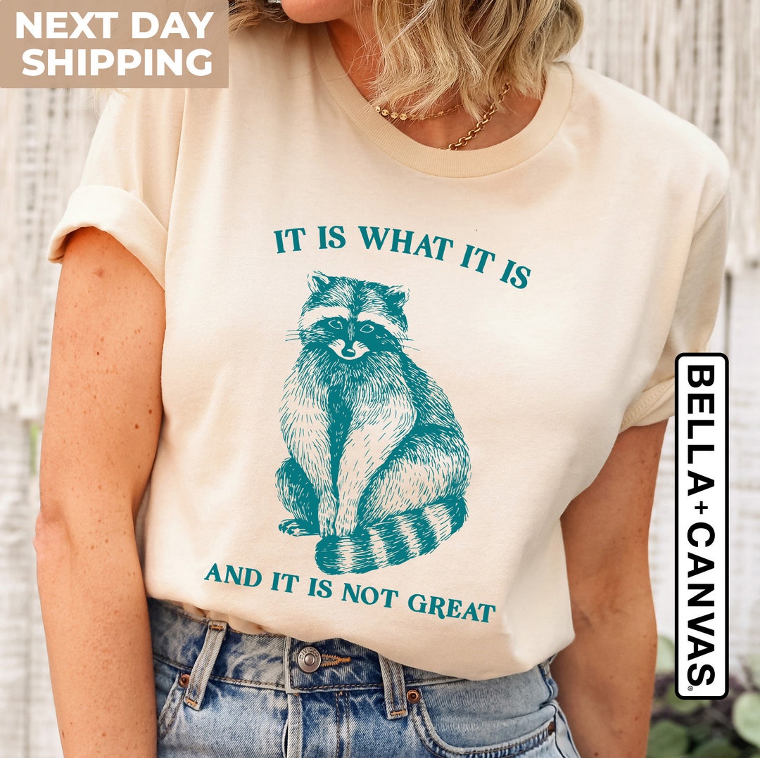 It is What It is and It is Not Great, Vintage Drawing T Shirt, Raccoon ...