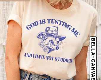 Dios me está probando, camiseta unisex divertida, camiseta de zarigüeya, camiseta de meme, camiseta de panda basura, camiseta de dibujo vintage, camiseta de meme de mapache, camiseta para hombre