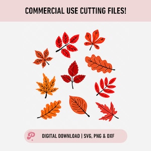 Hojas de otoño SVG / Hoja, Especias de calabaza, Escalofriante, Fantasmas, Horror, Caramelo, Naranja, Clipart / Silhouette Cameo, Cricut DIY / Licencia comercial