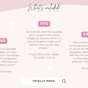 Puede incluir: Un gr&aacute;fico rosa y blanco con el texto "What's included?" y descripciones de los tipos de archivos incluidos en una descarga digital: PNG, SVG y DXF. El texto describe los tipos de archivos y los programas que se pueden usar para abrirlos. El gr&aacute;fico tambi&eacute;n incluye el texto "Totally Posie" y un icono de lupa.