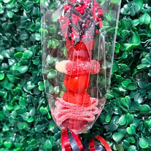 May include: A candy skewer featuring a variety of red and white gummy candies and a chocolate-dipped treat topped with black and red sprinkles, all encased in a clear plastic wrapper with red and black curling ribbons at the base.
