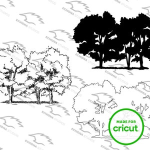 Tori&#39;s Trees Digital Stamp (Svg, Png, Pdf, Jpg) Instant Download, Digi Stamp, Scrapbooking/Coloring