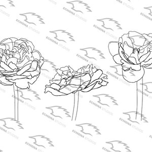 Tulip Set Digital Stamp (Svg, Png, Pdf, Jpg)