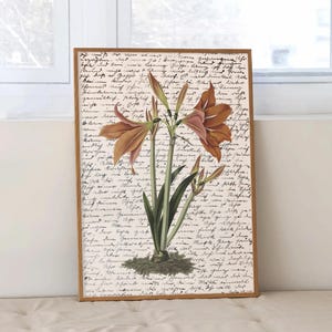 Botanische Zeichnung Wandkunst Blumendruck, ästhetische Pflanze Poster schicke Bauernhausdekoration, Vintage-Stil Blumenillustration auf Buchseite