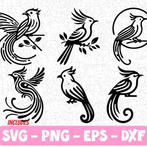 Pakiet Quetzal Bird SVG | Skomplikowane sylwetki Quetzal PNG, Eps, DXF | Projekty o tematyce przyrodniczej dla Cricut i Silhouette