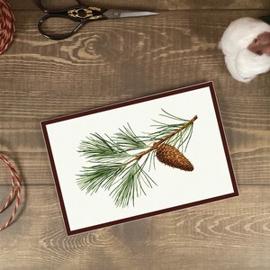 May include: A framed illustration of a pine branch with a single brown pine cone. The branch is green and has many needles. The background is white.