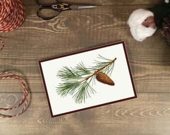 May include: A framed illustration of a pine branch with a single brown pine cone. The branch is green and has many needles. The background is white.