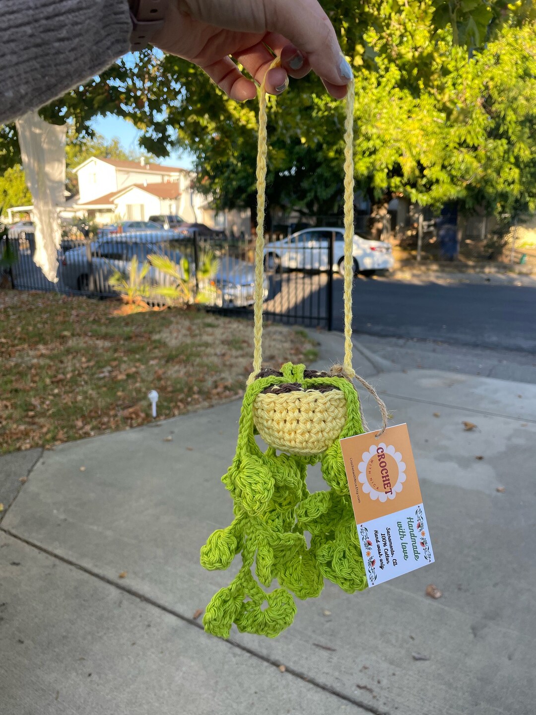 Crochet Hanging Plant Etsy
