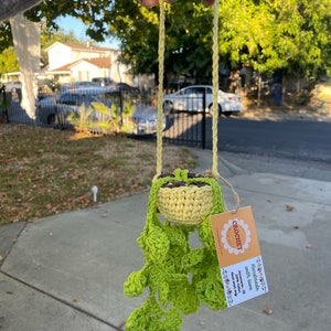 Crochet hanging plant