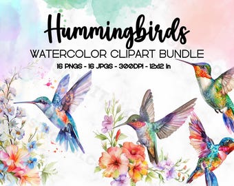 Paquete de imágenes prediseñadas de acuarela de flores de colibríes, lindas imágenes prediseñadas de colibríes, PNG transparente, sublimación de colibríes, manualidades de papel digitales