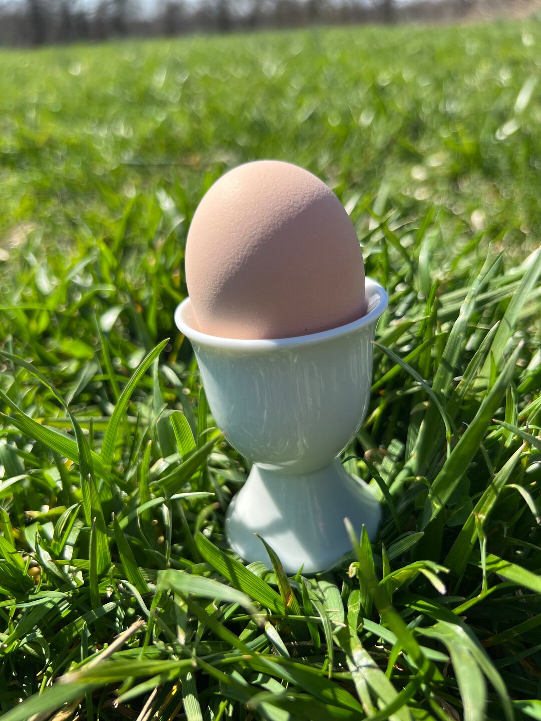 Vintage White Egg Cup Etsy