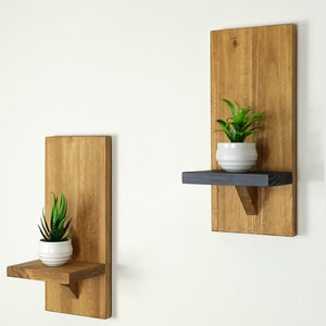 Wooden shelf, plant wall hanging