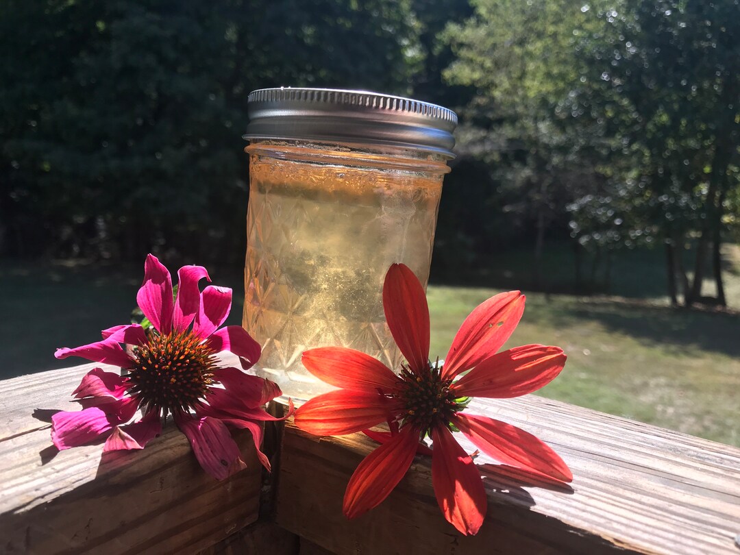 Echinacea Jelly Etsy