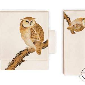 Iromuji Kimono Set: Washable Polyester, Tea Ceremony Wear with Pre-Tied Obi image 12