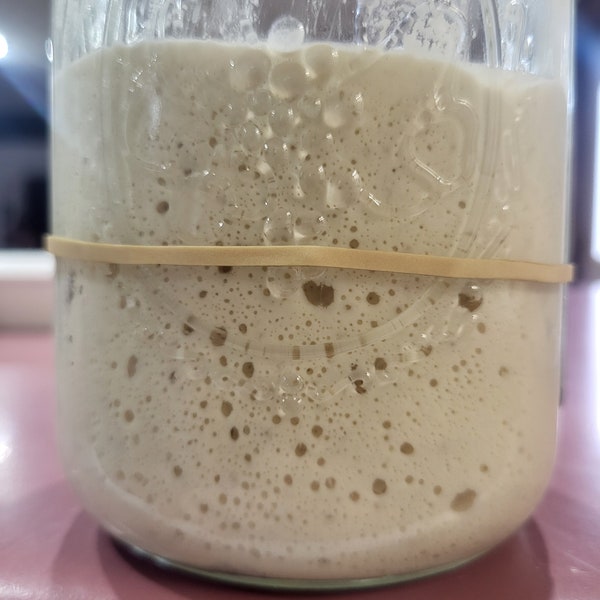 Authentic 234-Year-Old Dehydrated Sourdough Starter