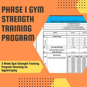 Total Body Gym Workout Program - Phase I - Hypertrophy
