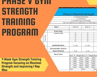 Total Body Gym Workout Phase V Maximal Strength
