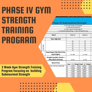 Total Body Gym Workout Program - Phase IV - Submaximale Stärke