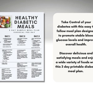 Diabetic Meal Plan Printable Handout for Healthy Diabetic Meals Instant ...