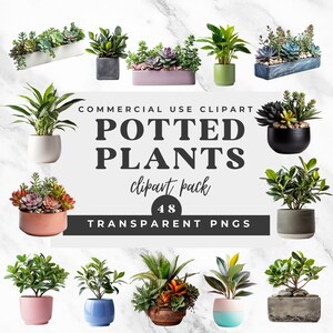 Topfpflanze PNG Clipart/Pflanzenliebhaber PNG/Blumen Clipart/Sukkulenten Clipart/Pflanzgefäß Clipart/Plant Lady Clipart/Dekor Clipart/Zimmerpflanzen