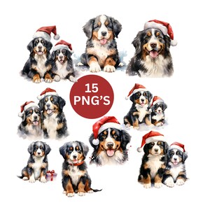 Christmas Bernese Mountain Dog Clipart Bundle/Instant Download 15 PNG's/Christmas Dog Graphics/Christmas Bernese Mountain Puppy Sublimation