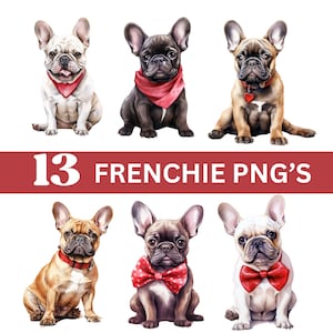 Pacote de clipart de buldogue francês/download instantâneo 13 PNG's/Gráficos de amante de cães/Sublimação de Frenchie/Clipart de mãe francesa/Clipart de amante de Frenchie