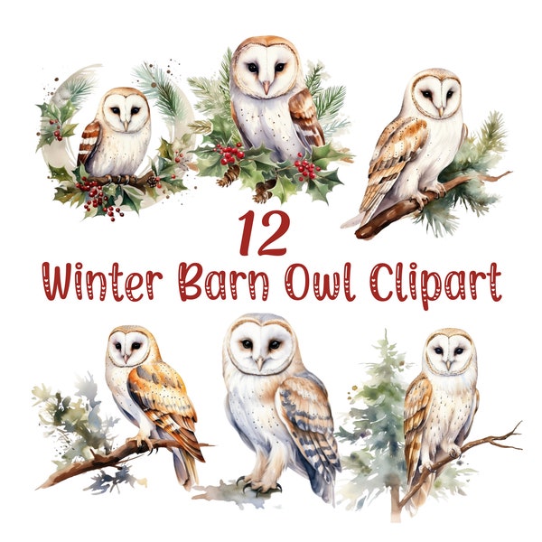 Winter Barn Owl Clipart/Barn Owl Graphics/Owl Clipart/Barn Owl Lover Clipart/Christmas Barn Owl Graphics/Barn Owl Sublimation PNG Images