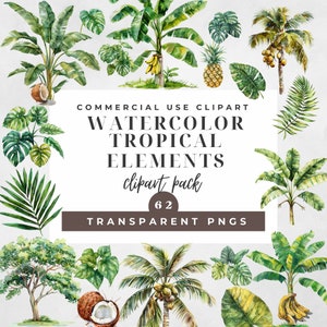 Acuarela Tropical Follaje y Elementos Clipart/62 Gráficos de Selva/Clipart de Sublimación Tropical/Clipart de Vivero/Clipart de Tarjeta/Clipart de Fiesta