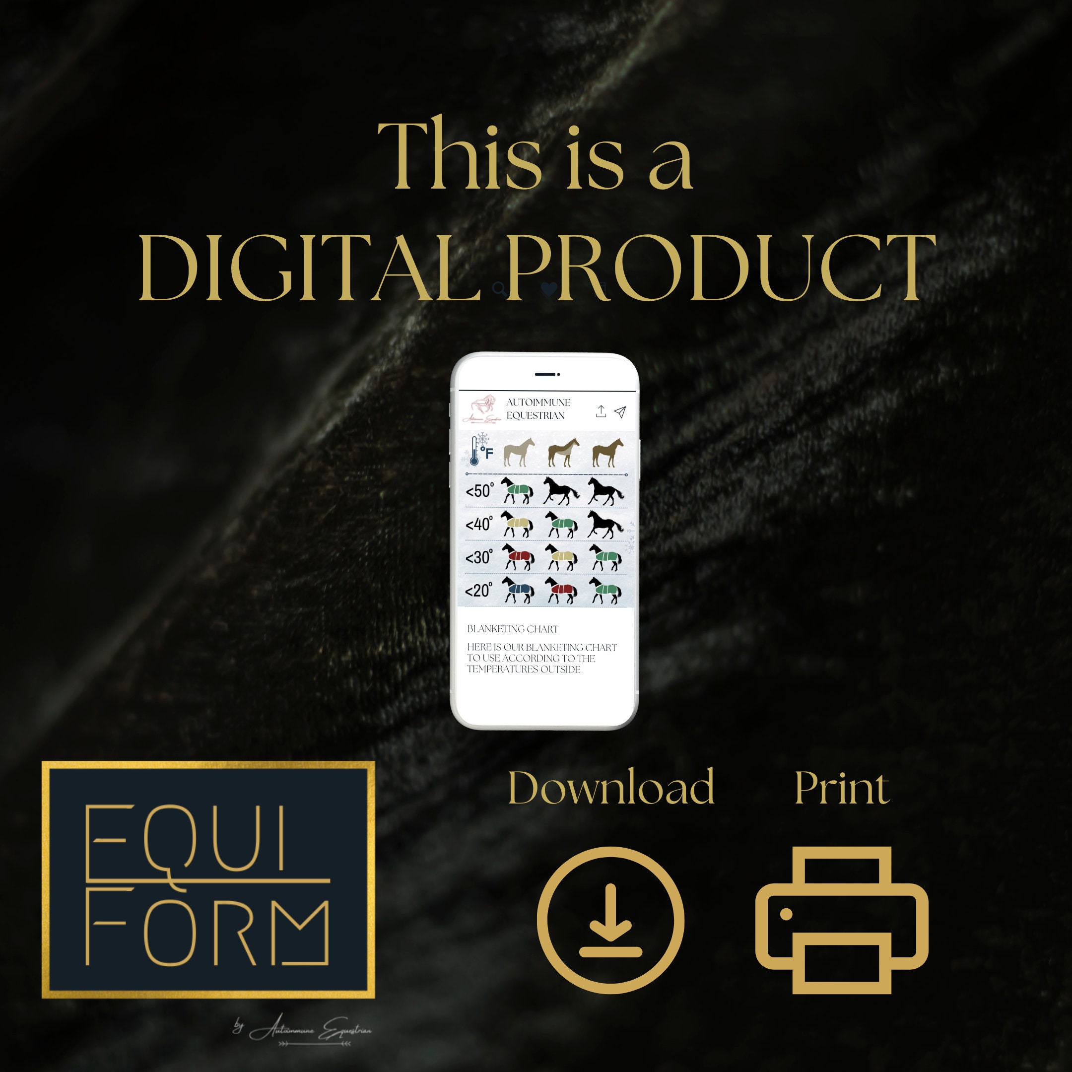 Horse Blanketing Poster Temperature Guide Etsy