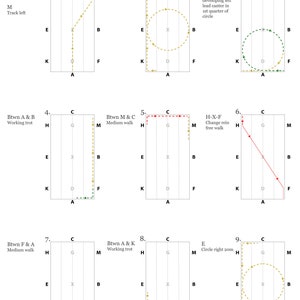 2022 USEA Dressage Test Diagrams ALL LEVELS image 3