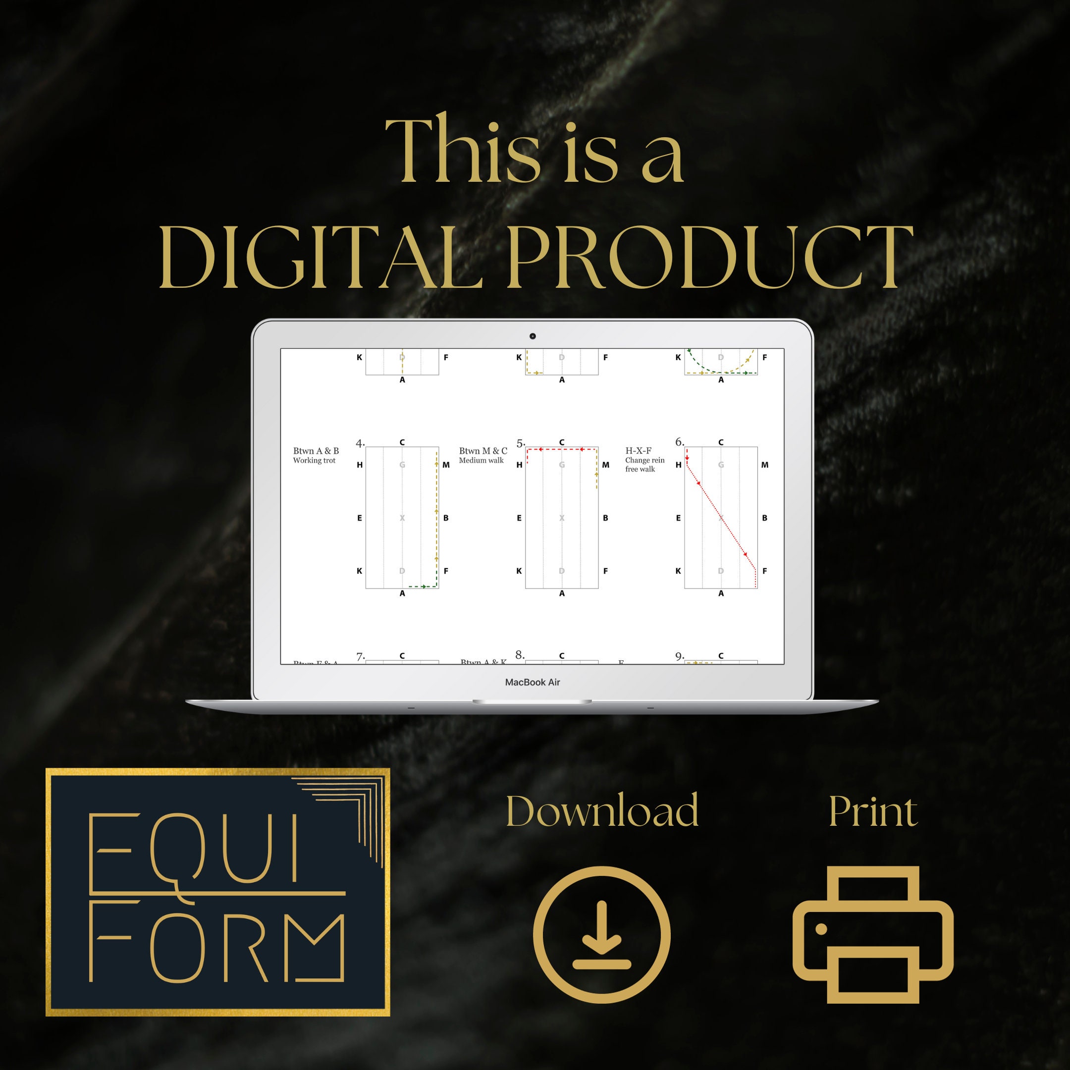 2022 USEA Starter Dressage Test Diagram Etsy