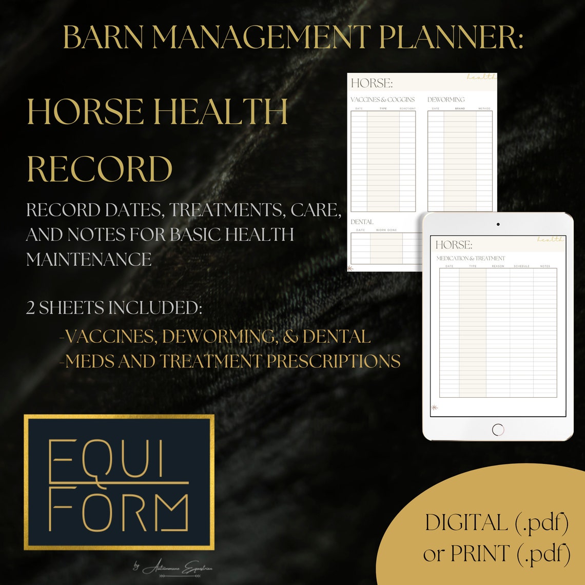 Horse Health Record Pages From the Equestrian Planners Etsy