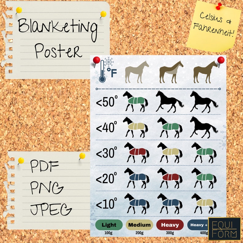 Horse Blanketing Poster Temperature Guide image 3