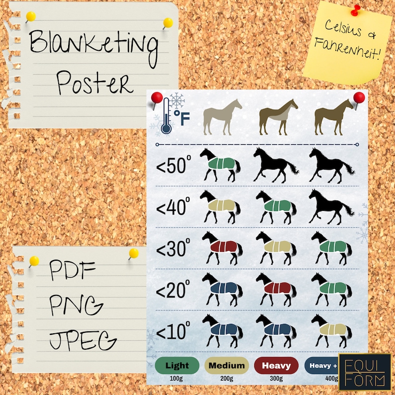 Horse Blanketing Poster Temperature Guide image 3