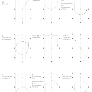 2022 USEA Dressage Test Diagrams ALL LEVELS image 4