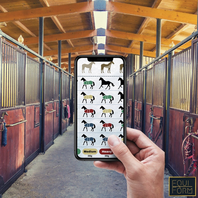 Horse Blanketing Poster Temperature Guide Etsy