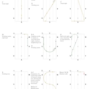 2022 USEA Dressage Test Diagrams ALL LEVELS image 8