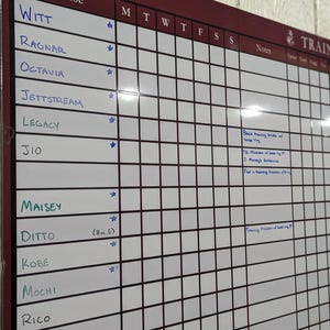 Equestrian Training Program Dry Erase Whiteboard