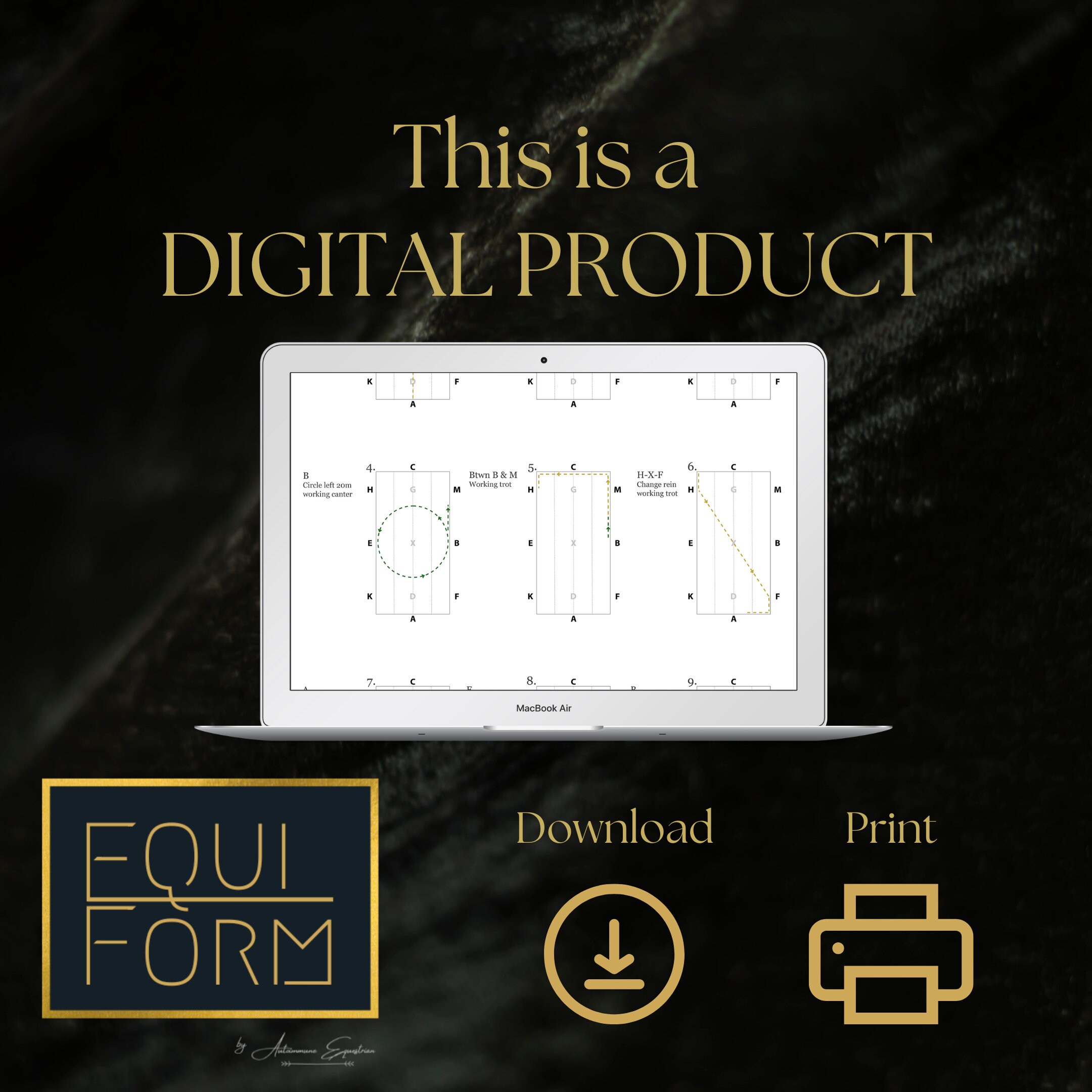 2022 USEA Beginner Novice Dressage Test Diagrams Etsy 2022 USEA Beginner Novice Dressage Test Diagrams Etsy