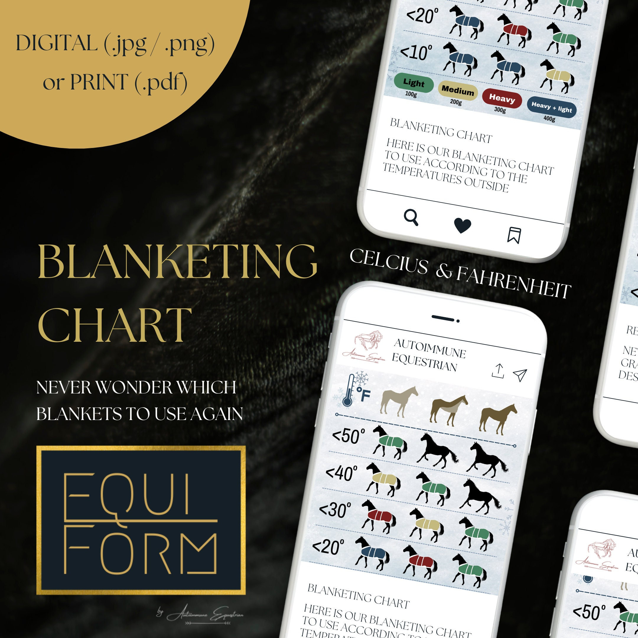 Horse Blanketing Poster Temperature Guide Etsy