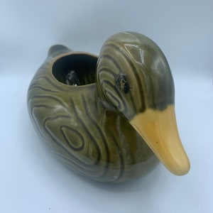 May include: A green ceramic duck planter with a yellow beak and black eyes. The duck has a textured, wood-grain pattern.