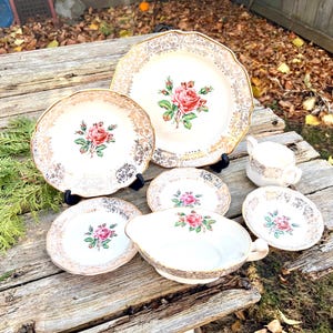 英国製 廃盤希少品  Briar Rose ディナープレート China Briar Rose | eBay