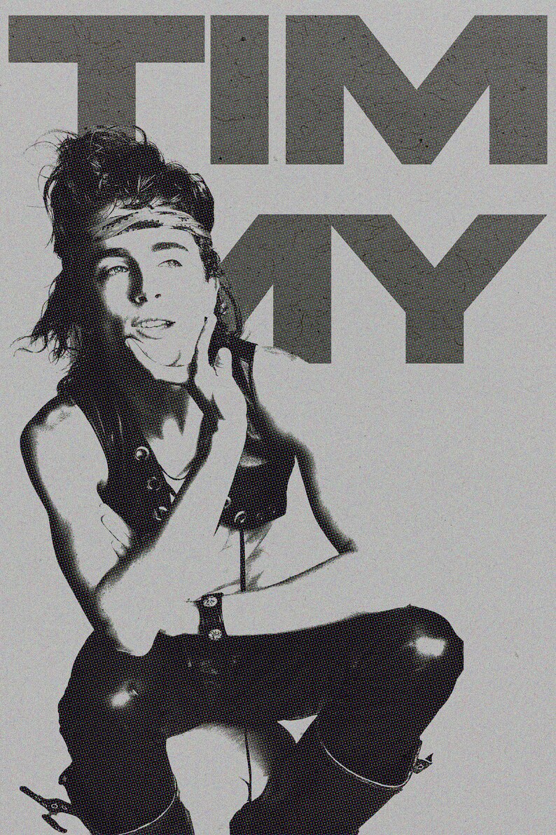 Timothee Chalamet Poster - Timmy Poster - Actor Wall Art - Digital ...