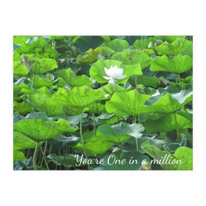 You&#39;re One in a million - Lily pads covering a pond with one flower - Indoor and Outdoor Silk Posters